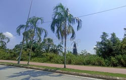 Sepang, Selangor 43900