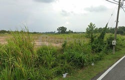 Yong Peng, Johor 83700