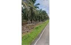 Pontian, Johor 82300