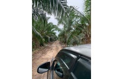 Pulau Carey, Selangor