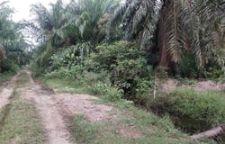Banting, Selangor 42700