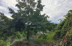 Hulu Perak, Perak