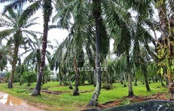 Kuala Selangor, Selangor 45600