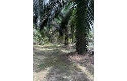 Simpang Renggam, Johor 86200