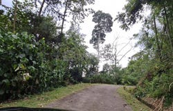Bentong, Pahang 28750