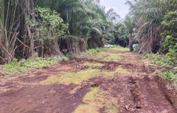 Telok Panglima Garang, Selangor 42500