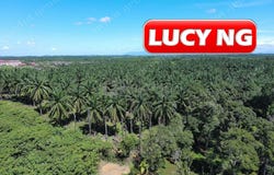 Kulim, Kedah 09700
