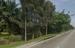 Batu 16 Jalan Klang Banting, Banting, Selangor 42700