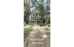 Banting, Selangor 42700