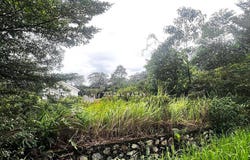 Semenyih, Selangor 43500