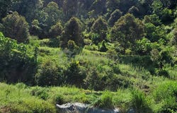Bentong, Pahang
