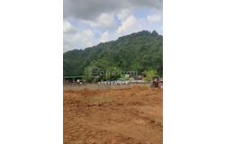 Kampong Kepayang, Perak 31300