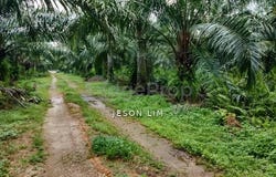 Banting, Selangor 42700