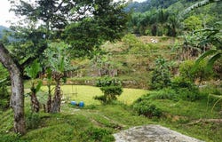 Ipoh, Perak 30020