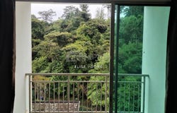 Cameron Highlands, Pahang 39100