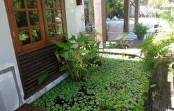Batu Ferringhi, Penang 11050