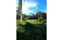 Banting, Selangor 42700