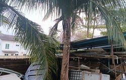 F, Temerloh, Pahang 28400