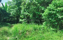Bentong, Pahang 28700
