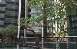 KL City, Kuala Lumpur 50450