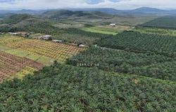 Kuala Muda, Kedah 06720