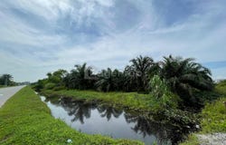 Kuala Langat, Selangor 41200
