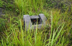 Jalan Ecohill 2, Semenyih, Selangor 43500