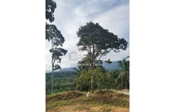 Pulau Kamiri, Kuala Kangsar, Perak 31100