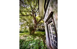 J, George Town, Penang 10450