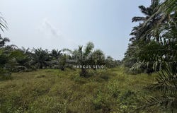 Kuala Kangsar, Perak 31100