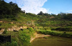 Raub District, Pahang 27600