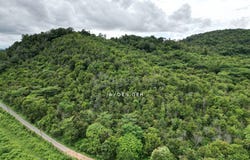 Pokok Sena, Kedah 6400