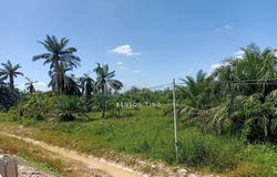 Kuala Selangor, Selangor 45600