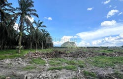 Chemor, Perak 31200