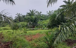 Banting, Selangor 42700