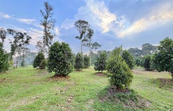 Hulu Selangor, Selangor 48200