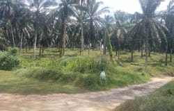 Kota Tinggi, Johor 81900