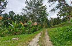 Kajang, Selangor 43200