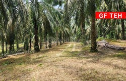 Selama, Perak 34100