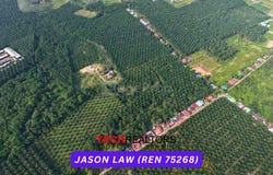 Kuala Muda, Kedah