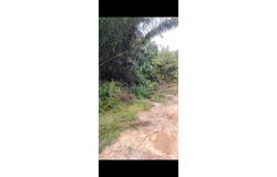 Telok Panglima Garang, Selangor 42500