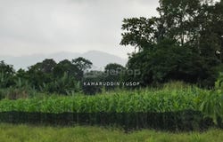 Beranang, Selangor 43500