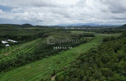 Pokok Sena, Kedah 6400