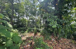 Klang, Selangor 42000