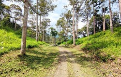 Bentong, Pahang 28750