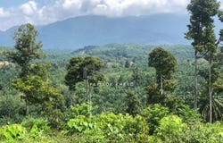 Kuala Kangsar, Perak 31100
