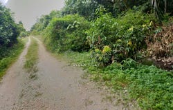 Taiping, Perak