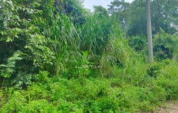 Rawang, Selangor 48000