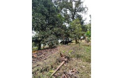 Bentong, Pahang 28700