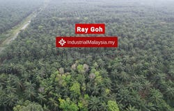 Banting, Selangor 42700